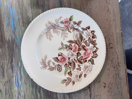 Johnson Bros Appleblossom Brown Multicolor Dinner Plate