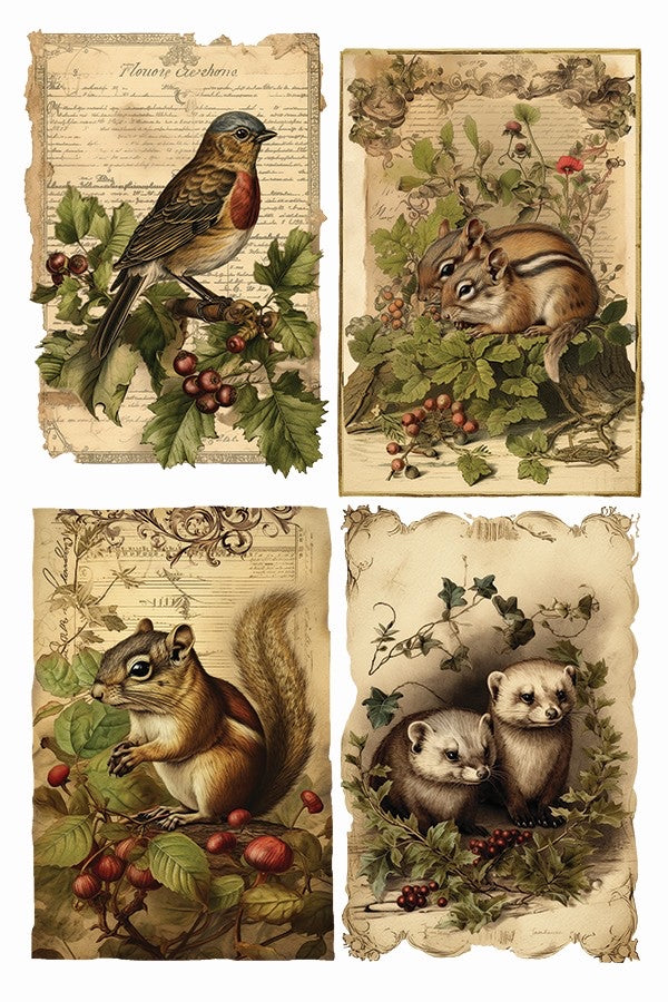 Holly Glen Iron Orchid Designs Transfer Set Limited Edition Holiday 2023
