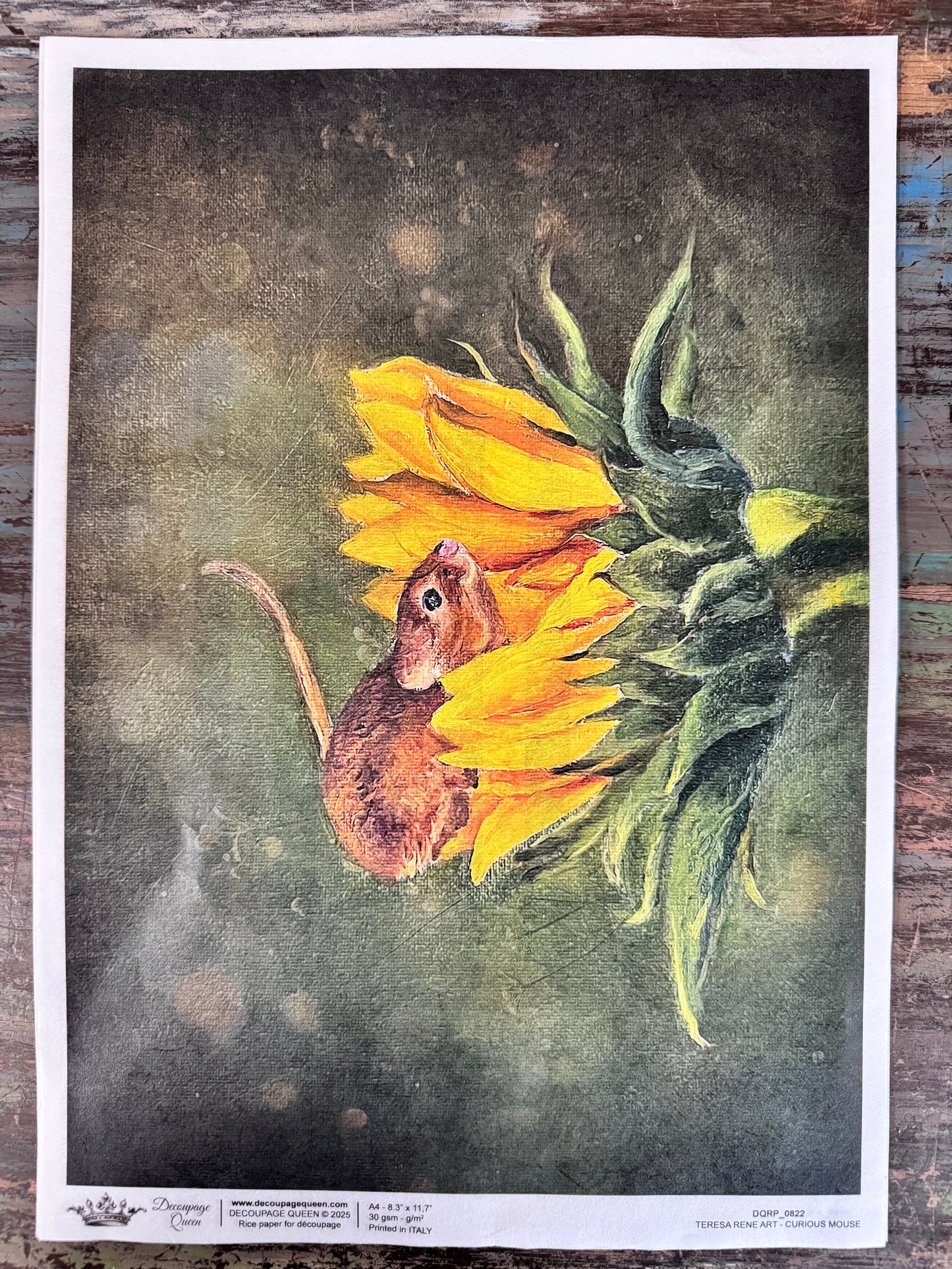 Decoupage Queen Fall 2025 Fall & Nature Collection A4