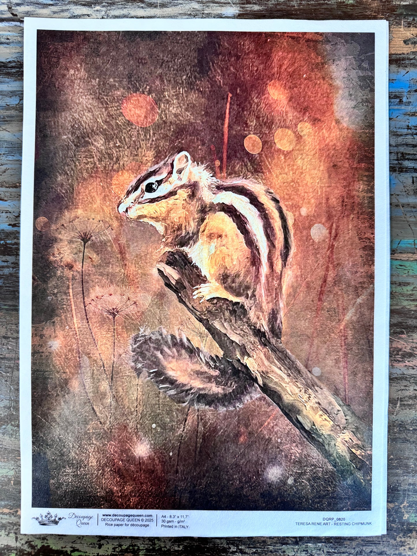 Decoupage Queen Fall 2025 Fall & Nature Collection A4