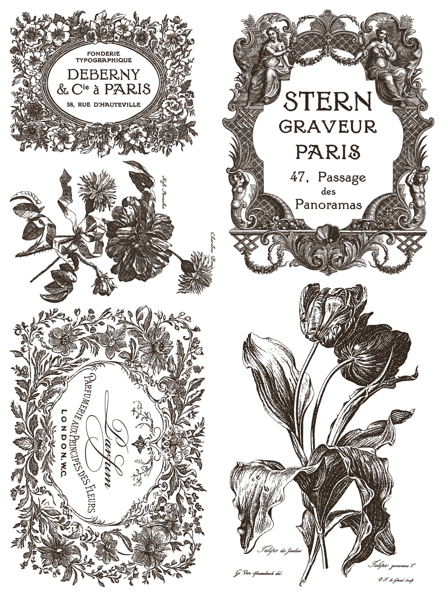 Floriography Iron Orchid Designs Paint Inlay