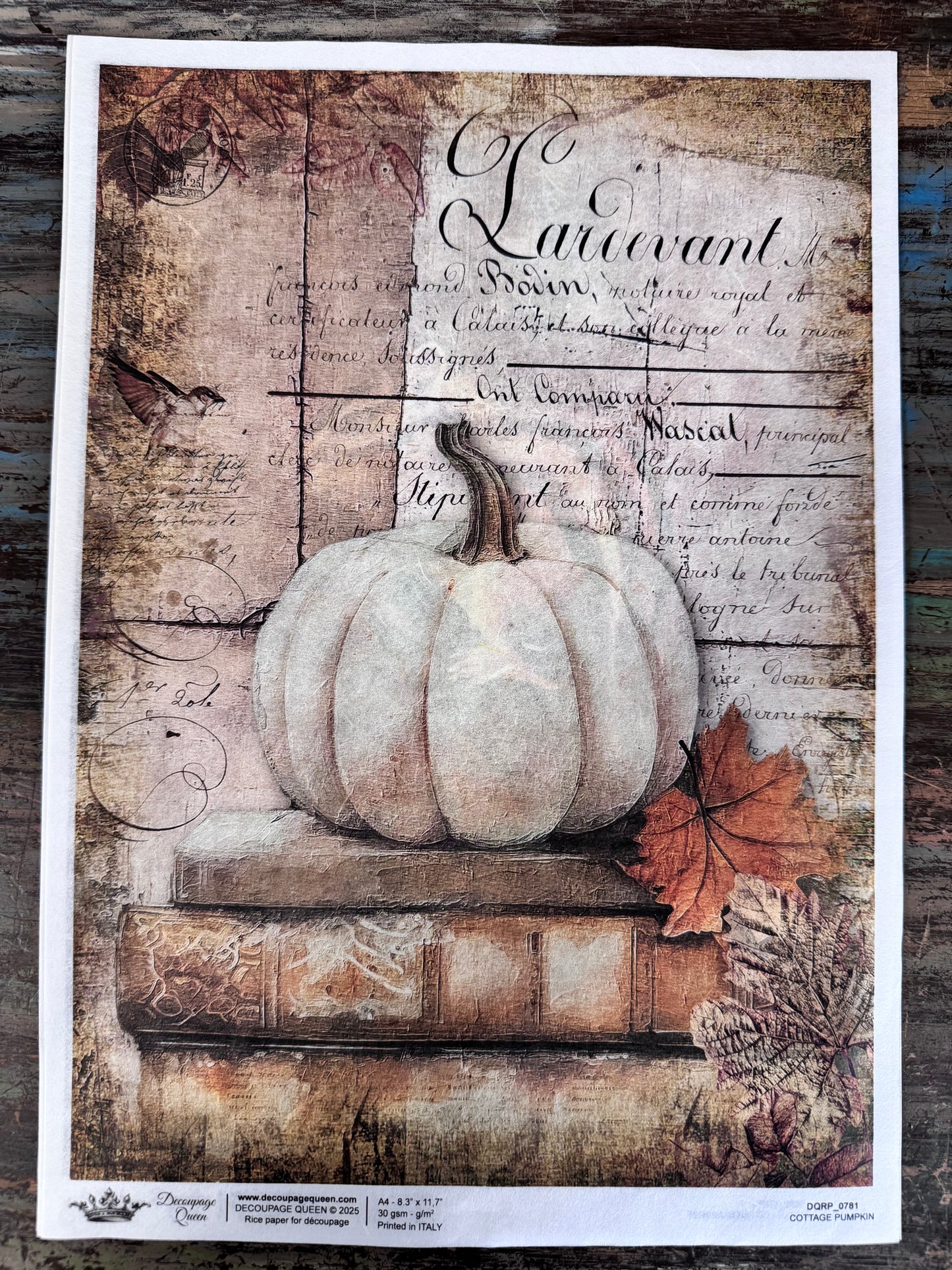 Decoupage Queen Fall 2025 Fall & Nature Collection A4