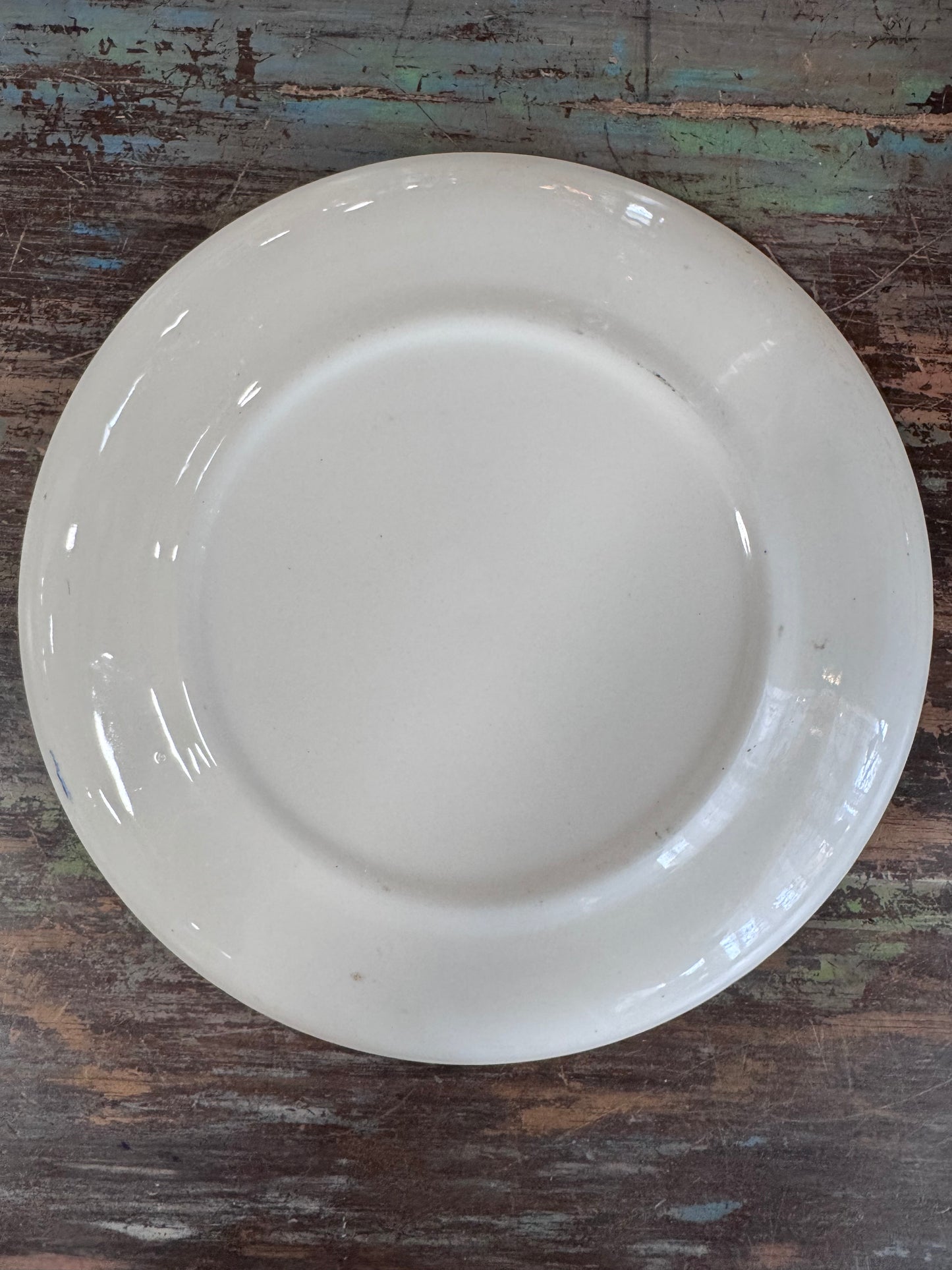Vintage Blue Willow dinnerware