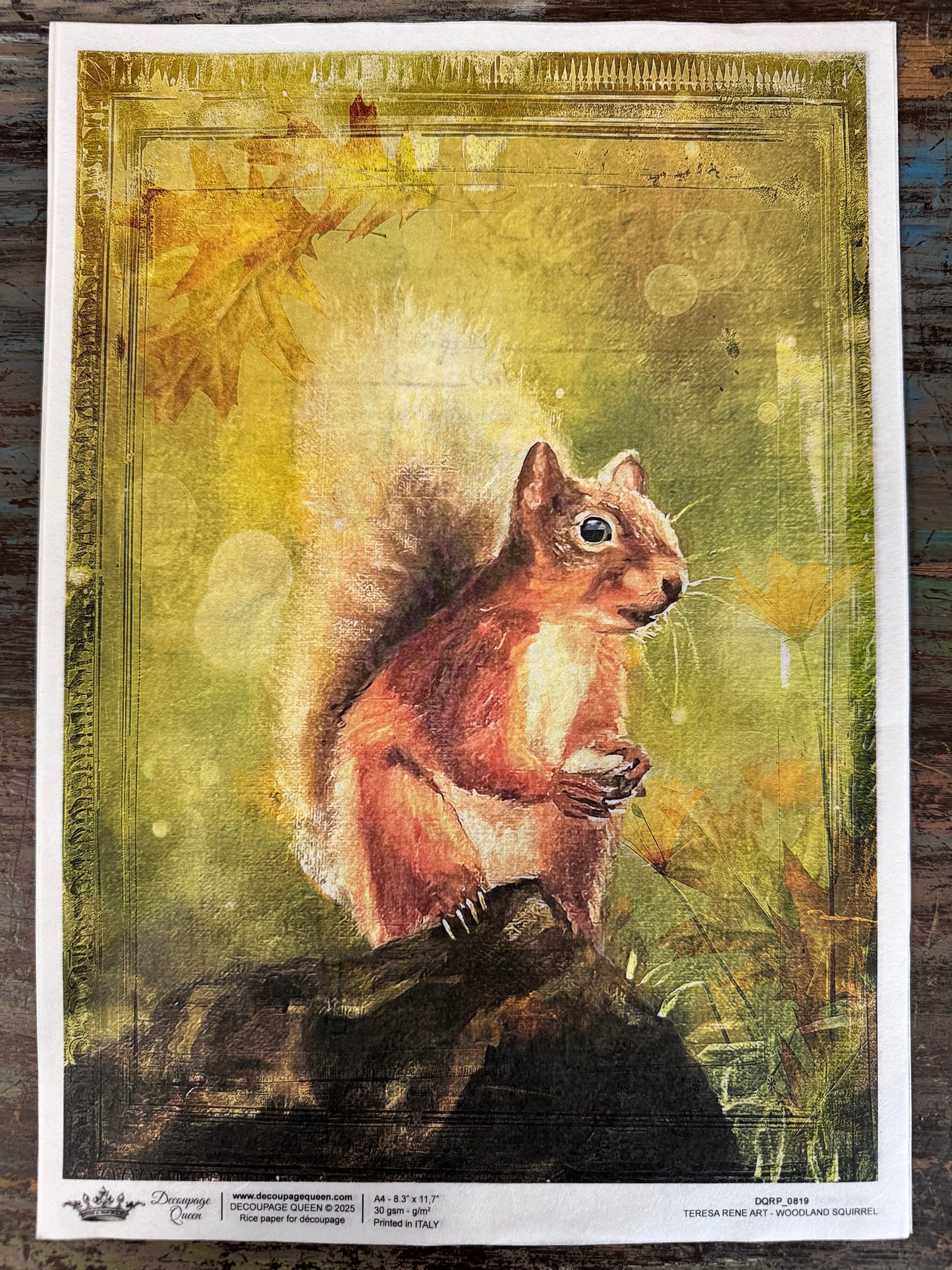 Decoupage Queen Fall 2025 Fall & Nature Collection A4
