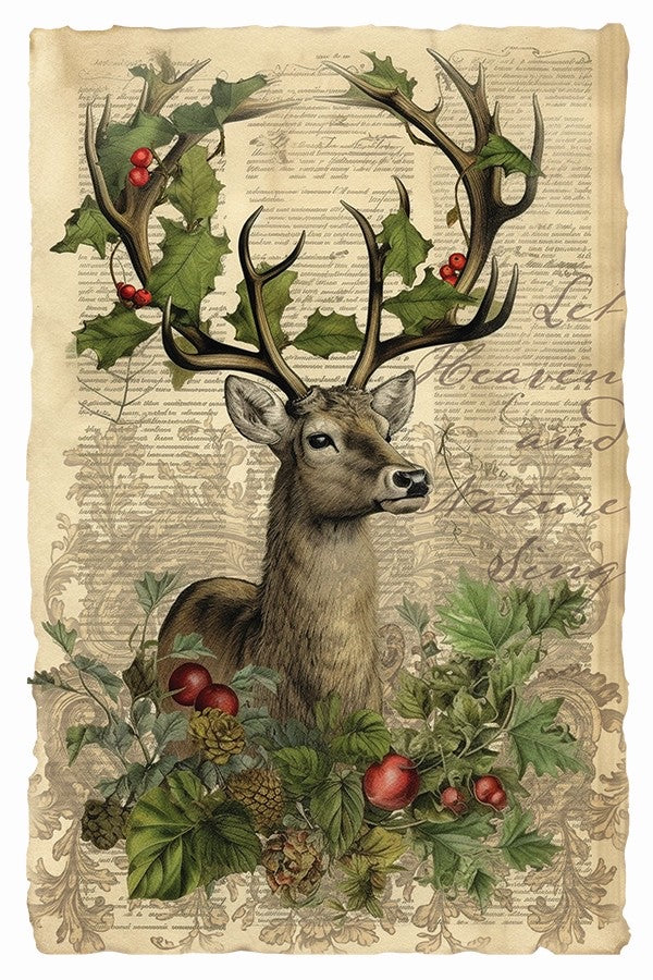 Holly Glen Iron Orchid Designs Transfer Set Limited Edition Holiday 2023