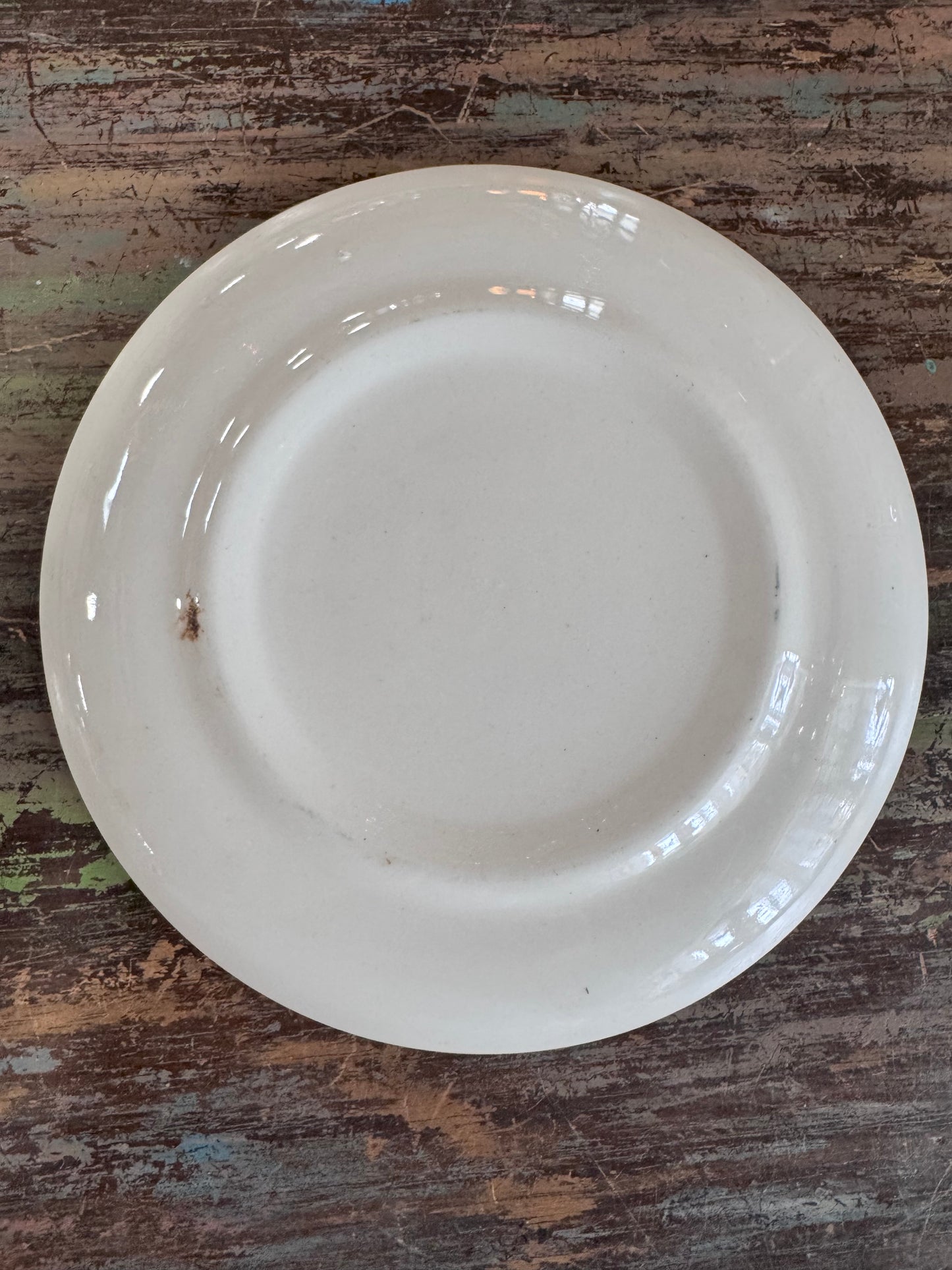 Vintage Blue Willow dinnerware