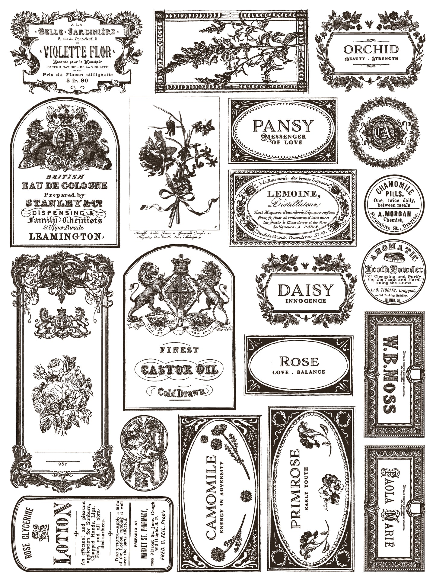 Floriography Iron Orchid Designs Paint Inlay