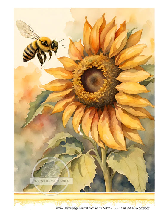 DC5007 A3 Sunflower with Bee Decoupage Rice Paper Decoupage Design