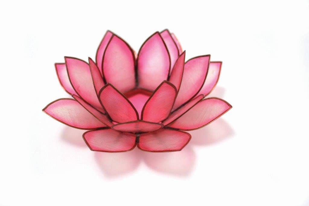 Flamingo Paradise Lotus TLight