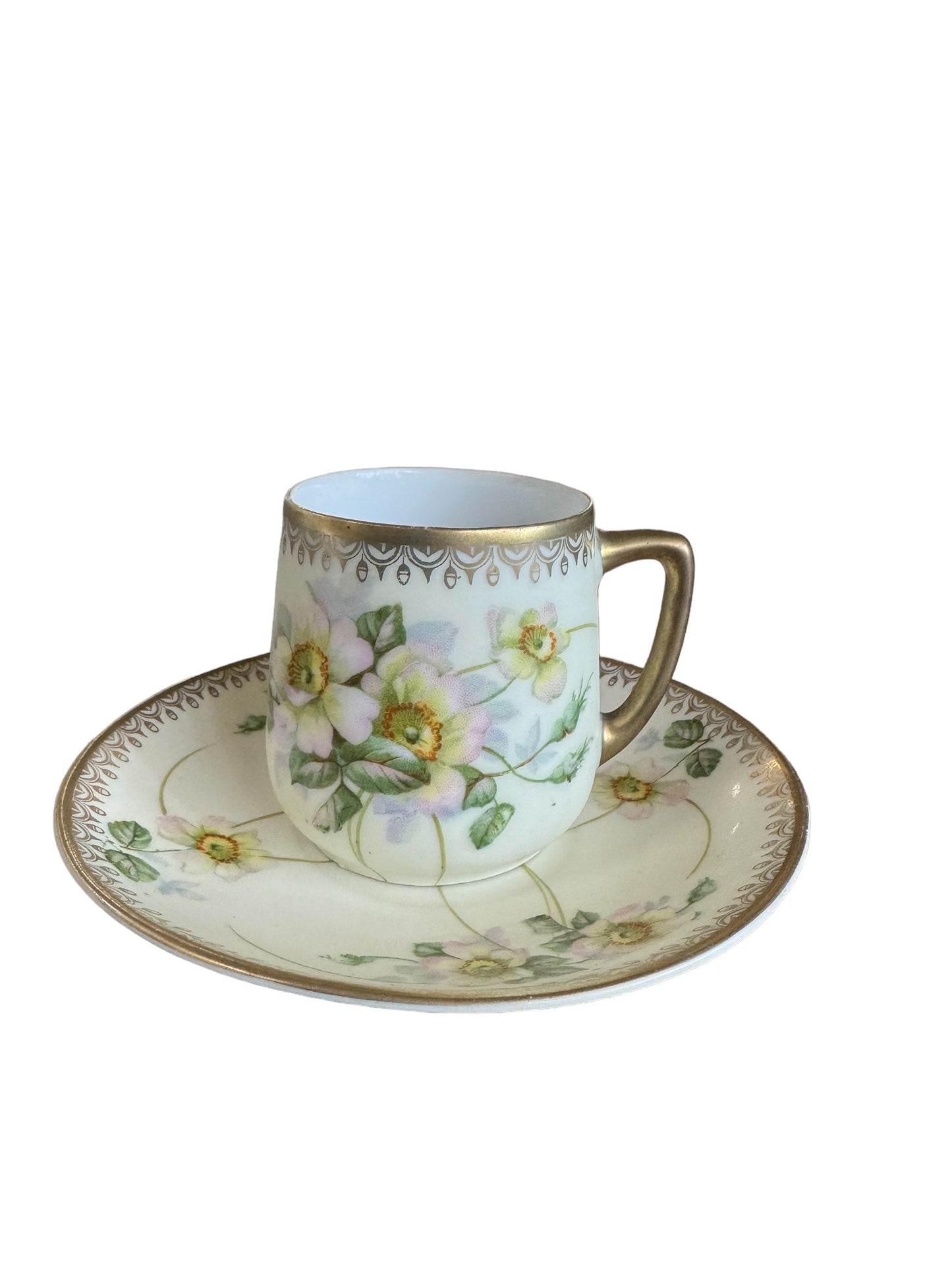 Antique Porcelain Bavaria Tea Cup and Saucer Dogwoods