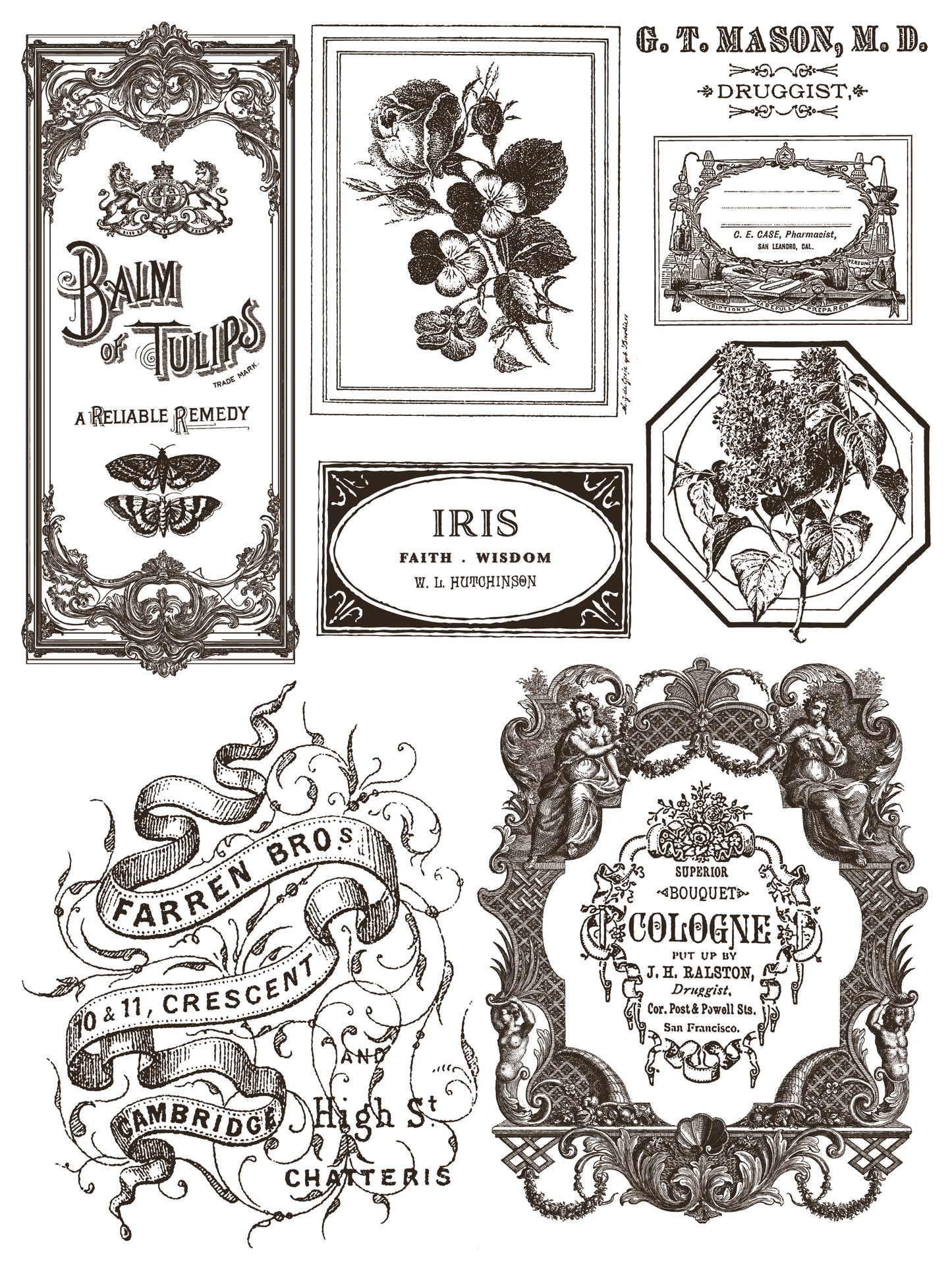 Floriography Iron Orchid Designs Paint Inlay