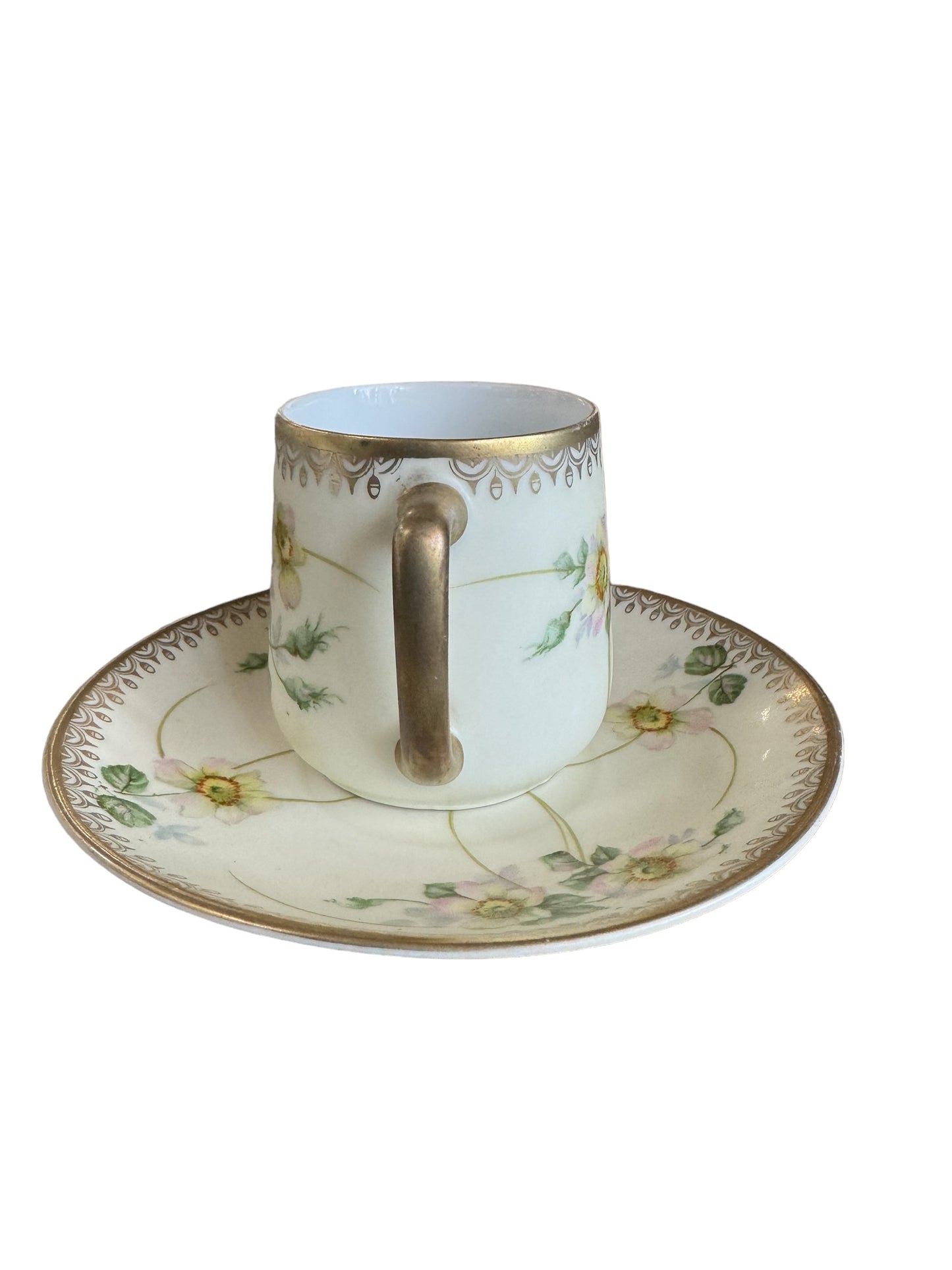 Antique Porcelain Bavaria Tea Cup and Saucer Dogwoods