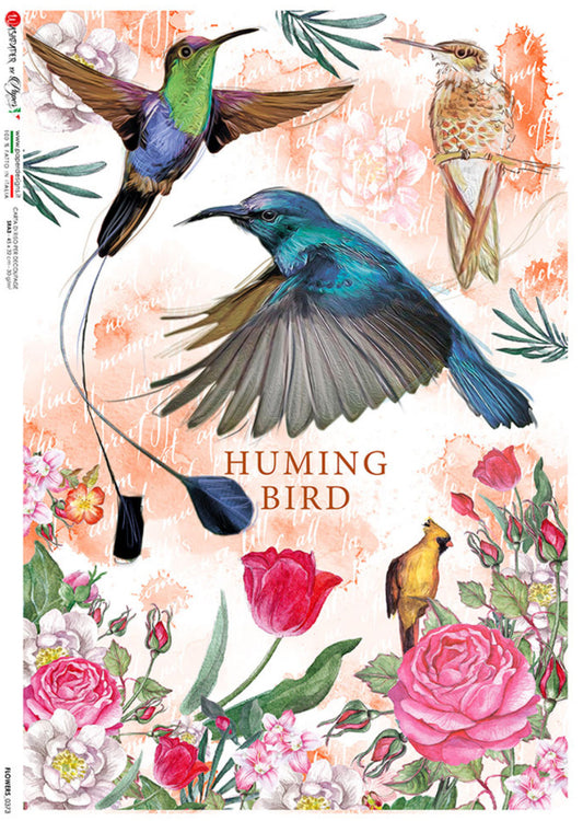 Paper Designs Hummingbirds 0373 A4