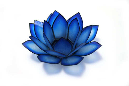 Blue Lagoon Paradise Lotus TLight Collection