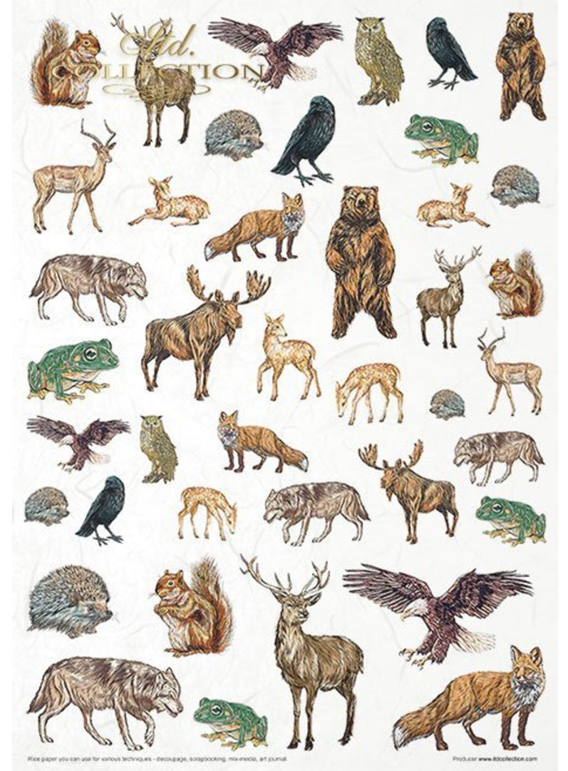 Mysterious Forest ITD Collection Decoupage Rice Papers