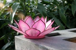 Flamingo Paradise Lotus TLight