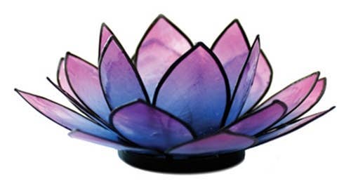 Pink & Turquoise Lotus TLight