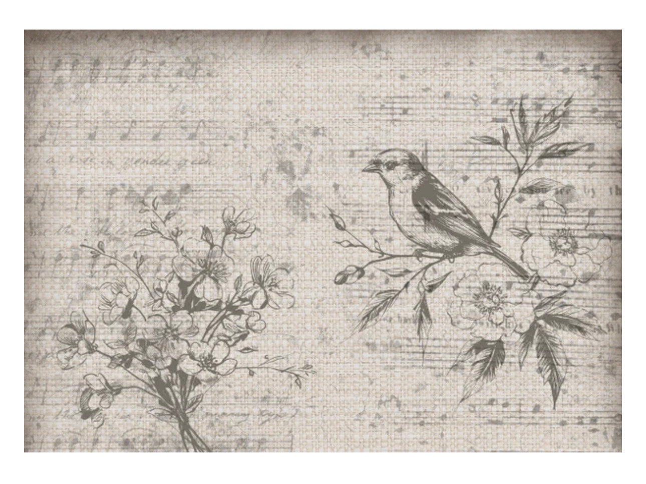 Gentle Lilacs 2026 Collection