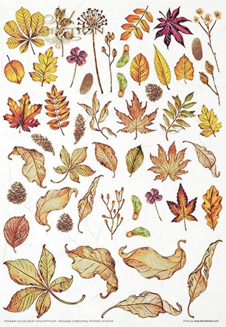 Mysterious Forest ITD Collection Decoupage Rice Papers