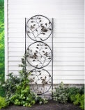 Butterfly Trio Trellis