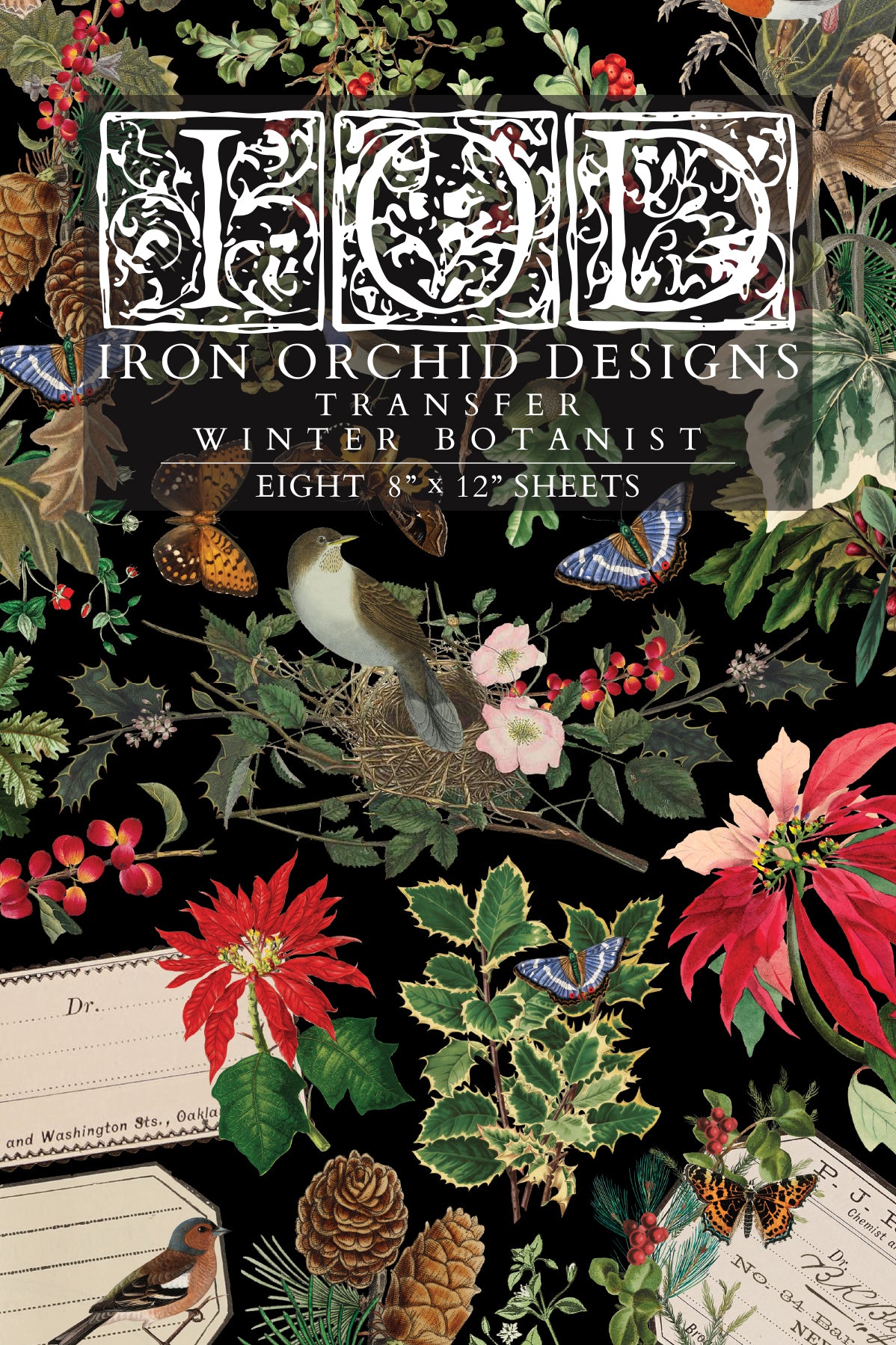 Winter Botanist 2025 Holiday Collection Transfer set