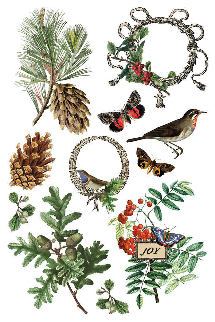 Winter Botanist 2025 Holiday Collection Transfer set