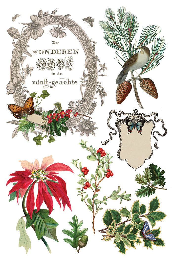 Winter Botanist 2025 Holiday Collection Transfer set