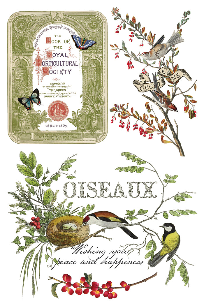 Winter Botanist 2025 Holiday Collection Transfer set