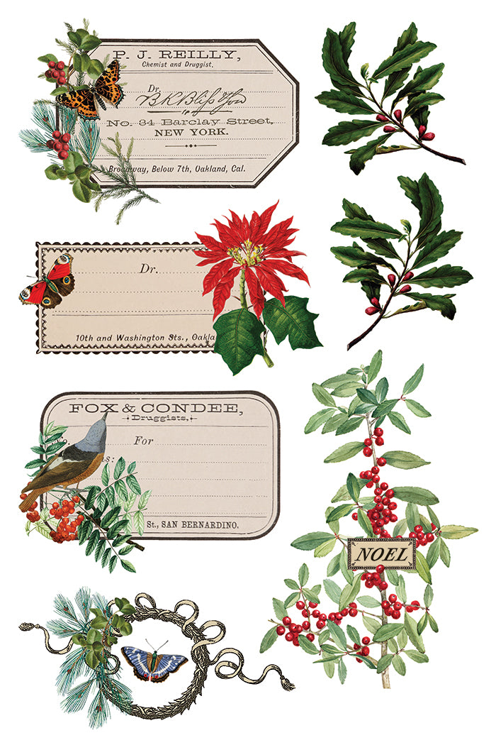Winter Botanist 2025 Holiday Collection Transfer set
