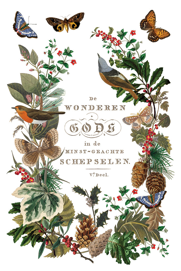 Winter Botanist 2025 Holiday Collection Transfer set