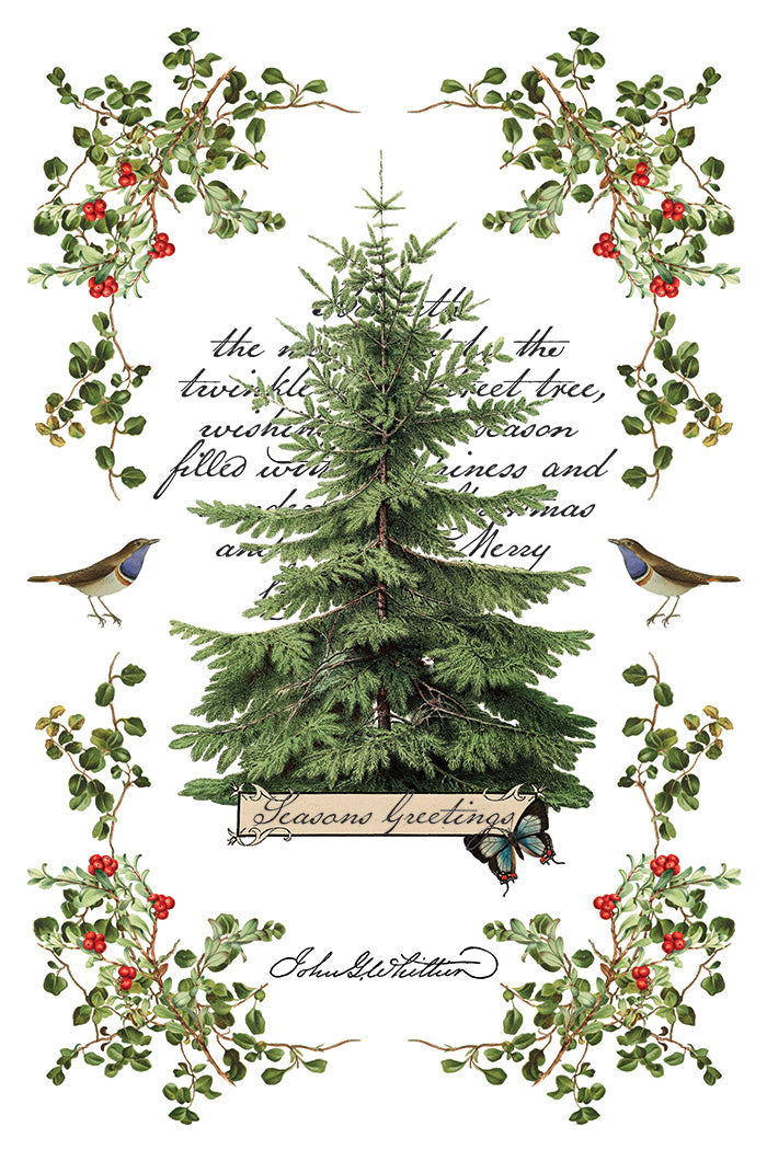 Winter Botanist 2025 Holiday Collection Transfer set