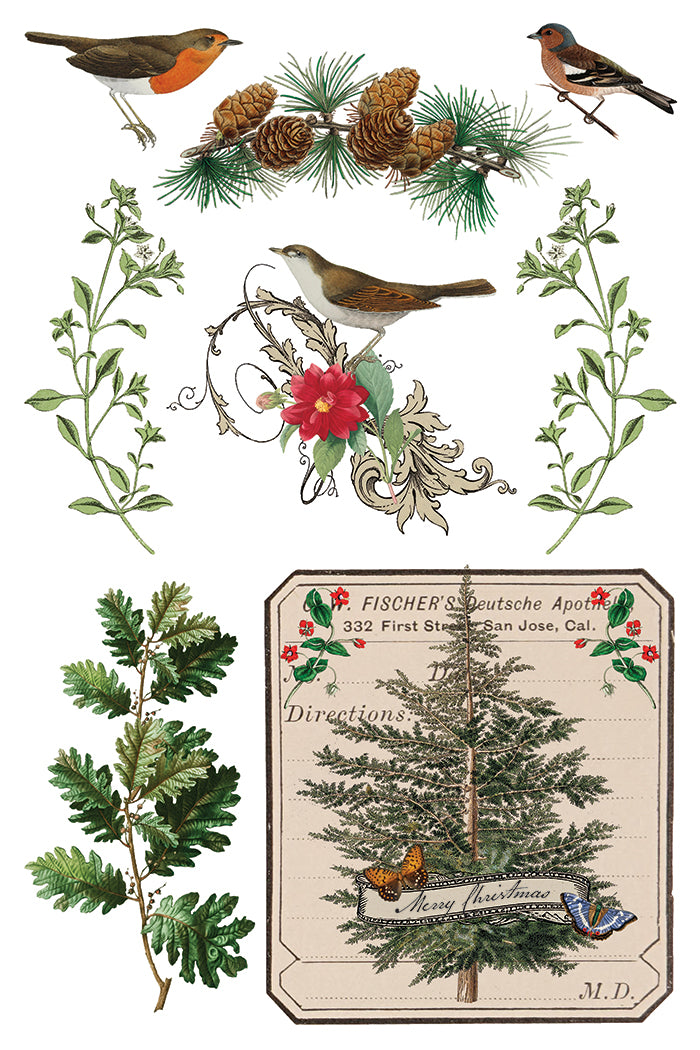 Winter Botanist 2025 Holiday Collection Transfer set