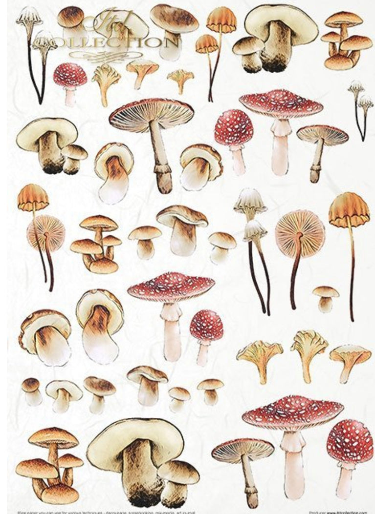 Mysterious Forest ITD Collection Decoupage Rice Papers