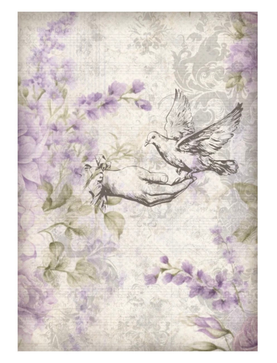 Gentle Lilacs 2026 Collection
