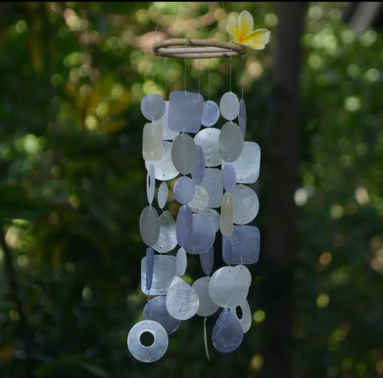 Capiz Shell Wind Chimes Small