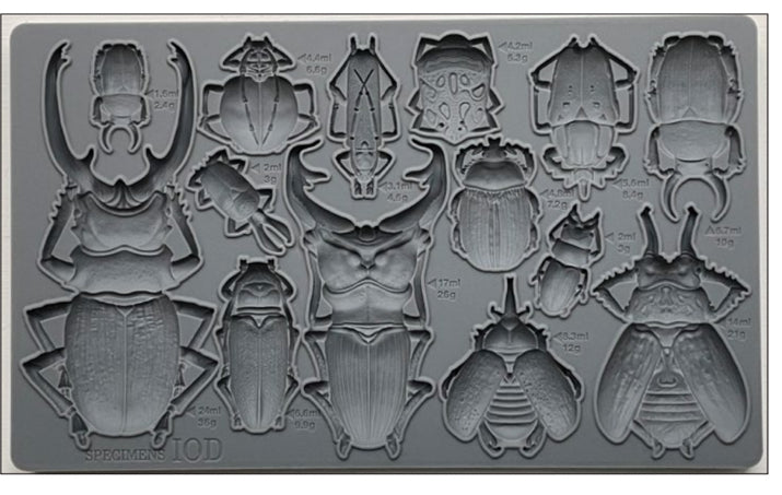 Specimens Iron Orchid Designs Mould set