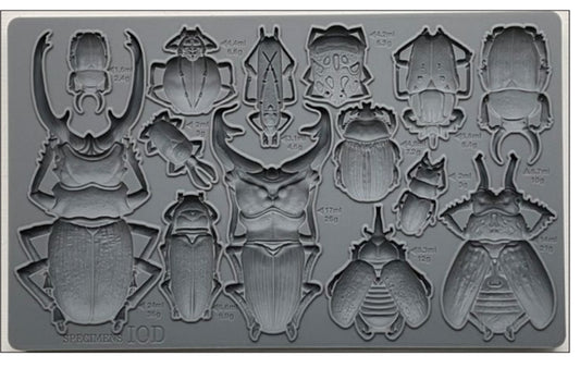 Specimens Iron Orchid Designs Mould set