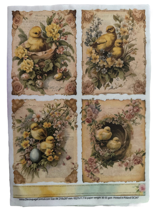 DC247 A4 Spring Chicks Quad Decoupage Central Rice Paper Decoupage Designs