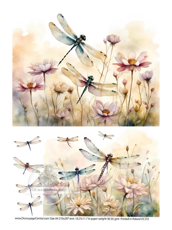 DC232 A4 Dragonfly Fields Duo Decoupage Central Rice Paper Decoupage Designs