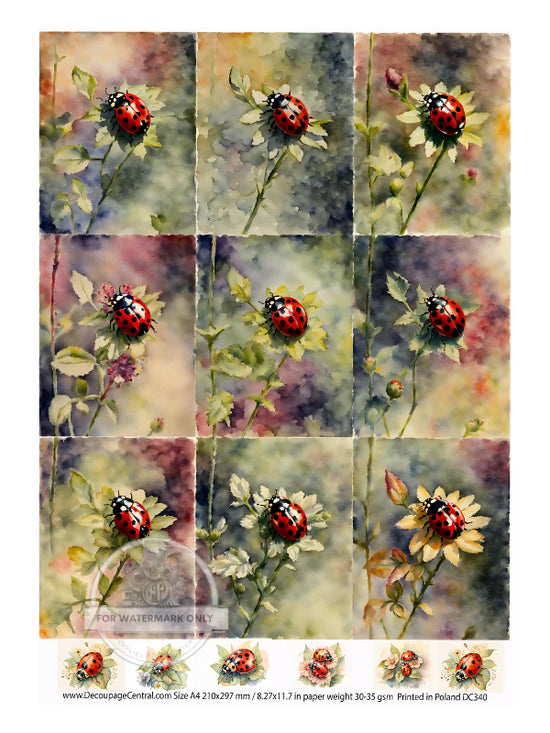 DC340 A4 Lady Bugs Decoupage Central Rice Paper Decoupage Designs