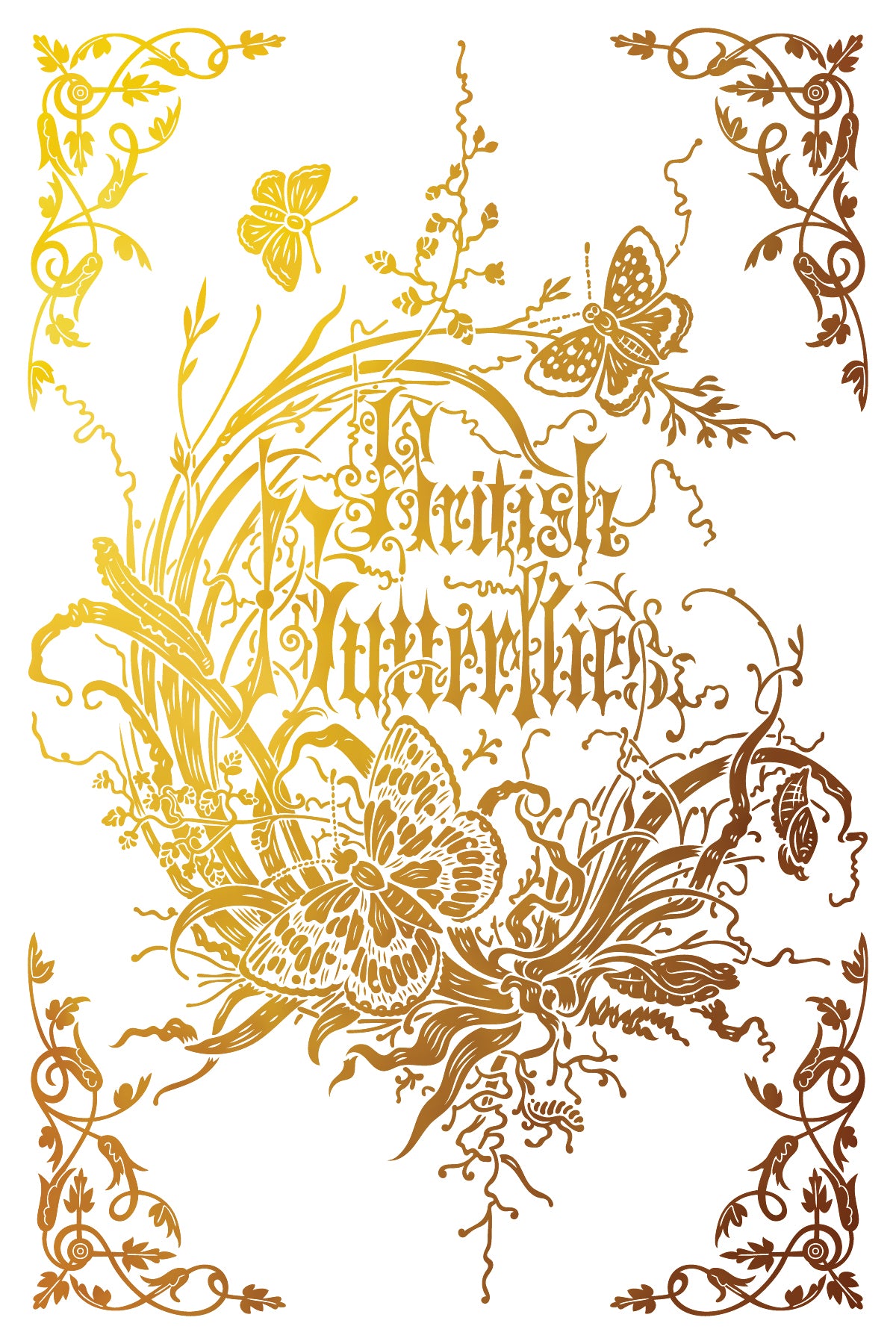 Anthenaeum Iron Orchid Designs Foil Transfer set