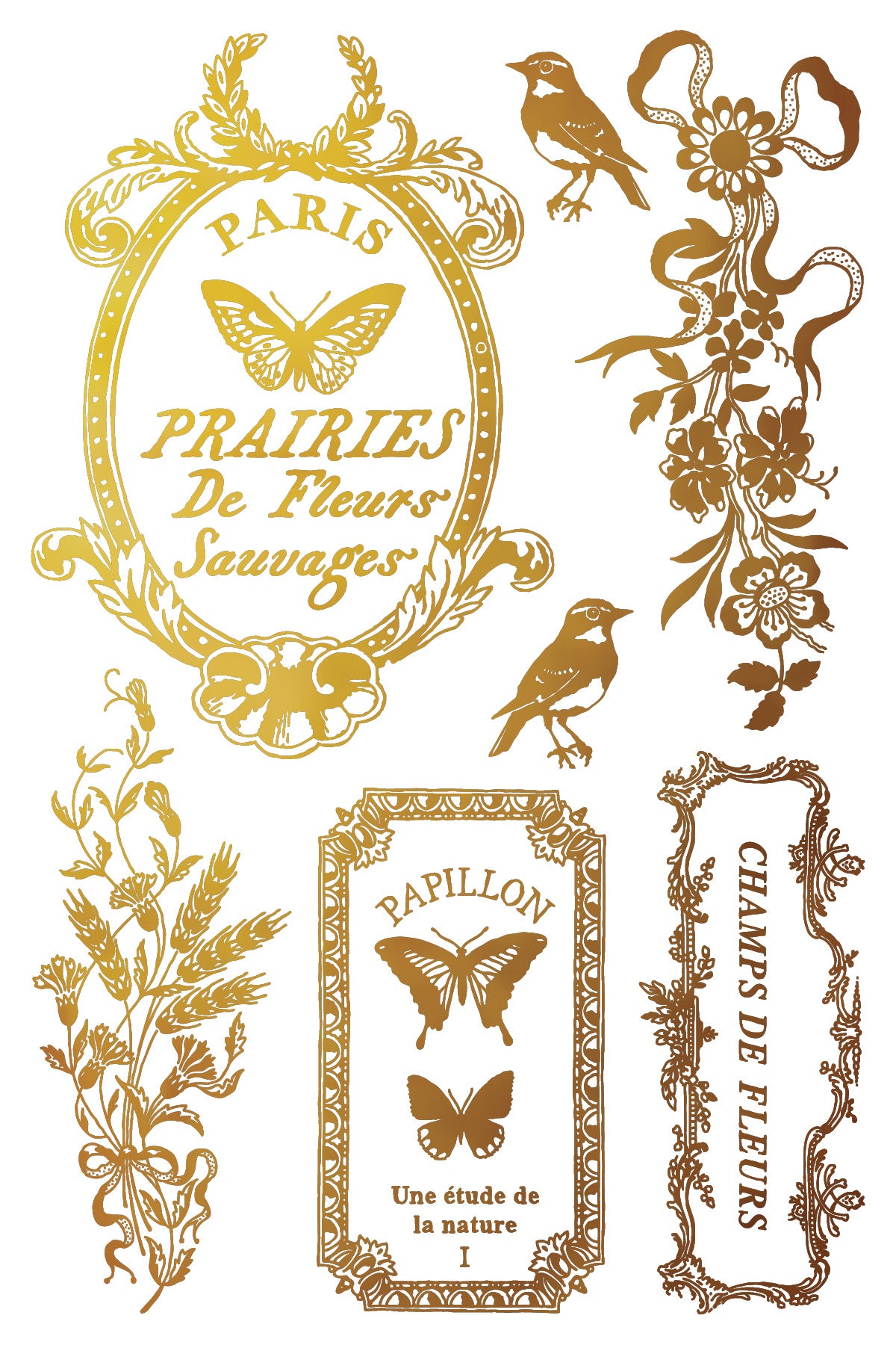 Papillon Transfer Iron Orchid Designs 2026 Spring Collection