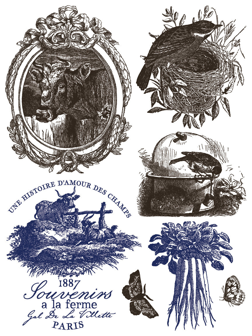 Hameau de la Reine Paint Inlay Iron Orchid Designs 2026 Spring Collection