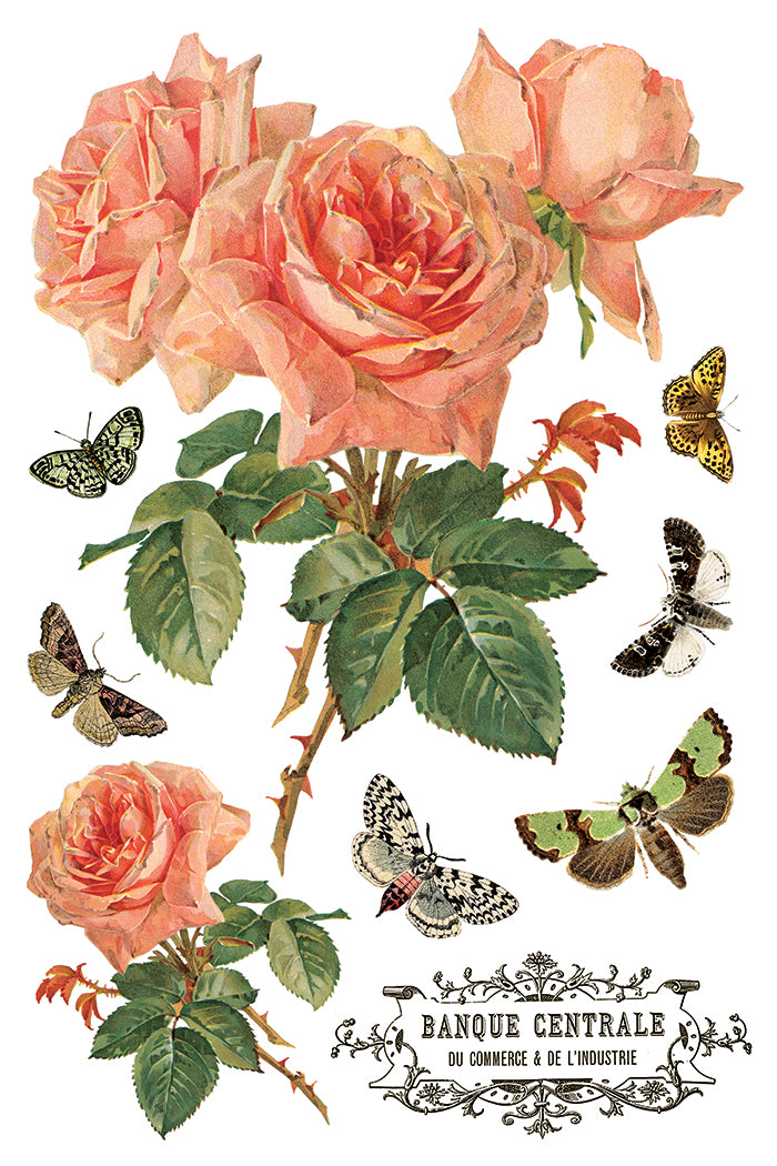 By Any Other Name Transfer Iron Orchid Designs 2026 Spring Collection