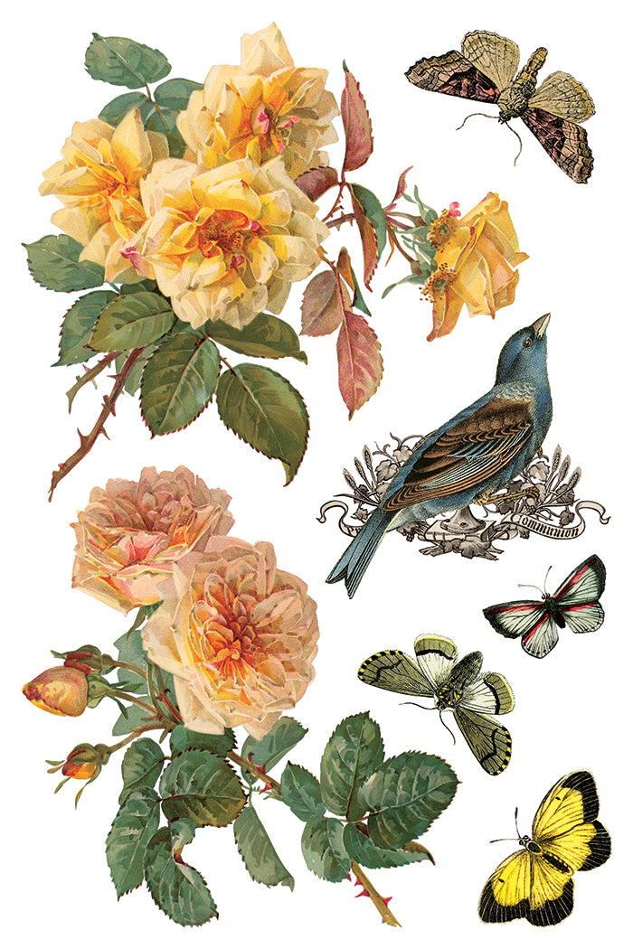 By Any Other Name Transfer Iron Orchid Designs 2026 Spring Collection