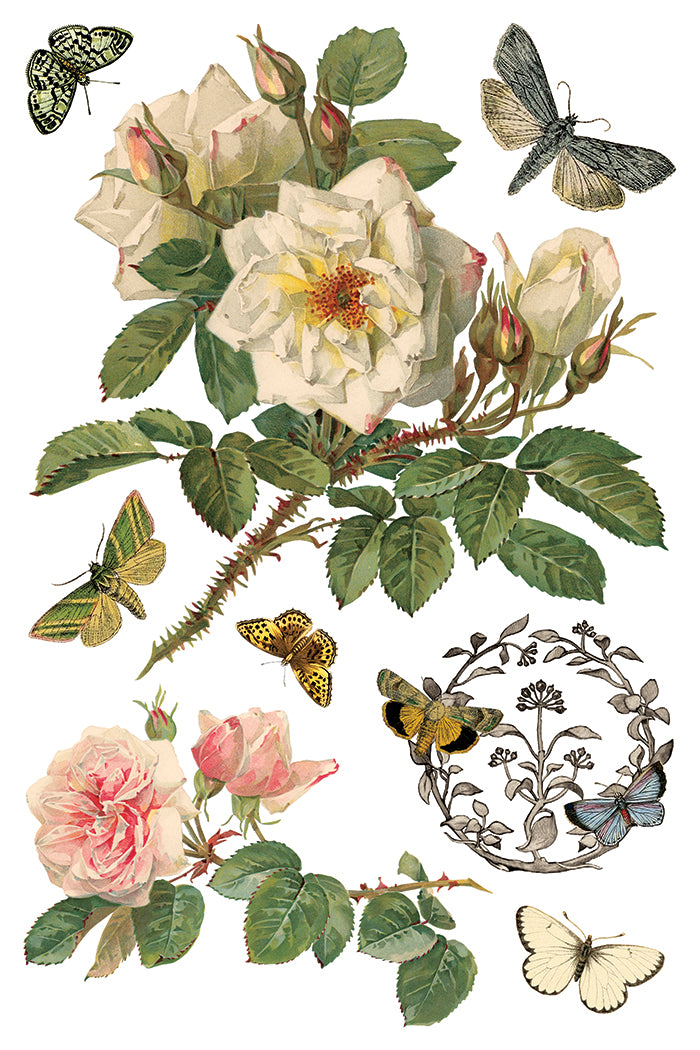 By Any Other Name Transfer Iron Orchid Designs 2026 Spring Collection