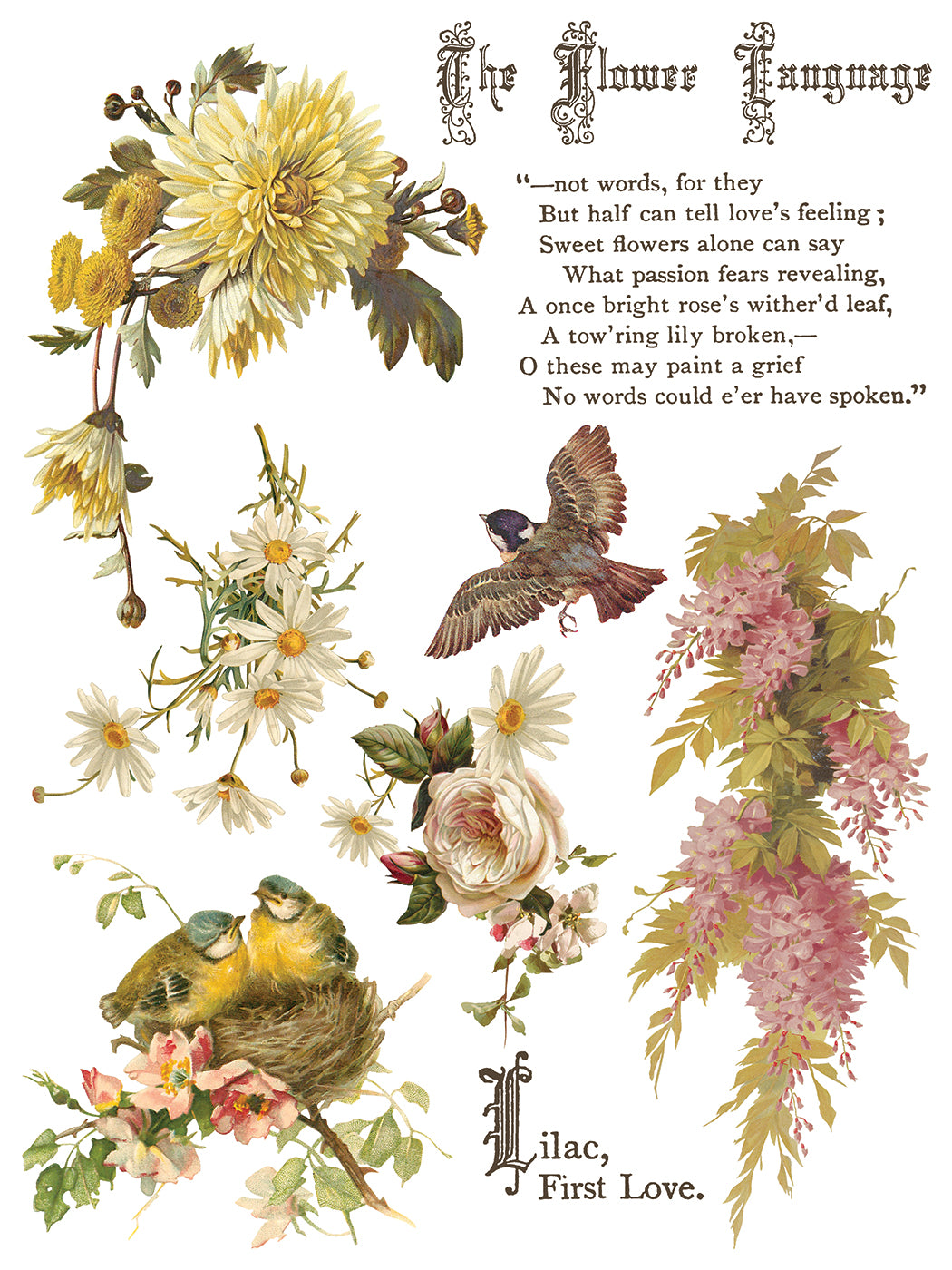 Flowers by the Poets Iron Orchid Designs Transfer Set