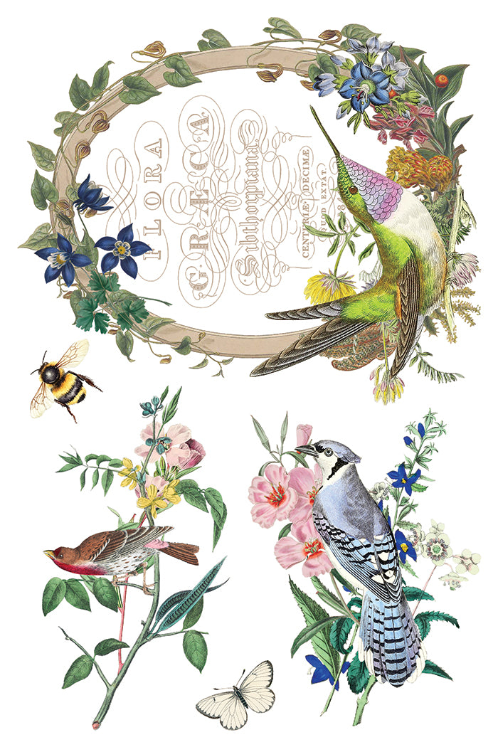 Flora Greca Transfer Iron Orchid Designs 2026 Spring Collection