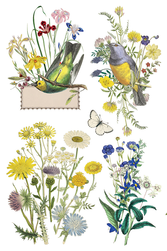 Flora Greca Transfer Iron Orchid Designs 2026 Spring Collection