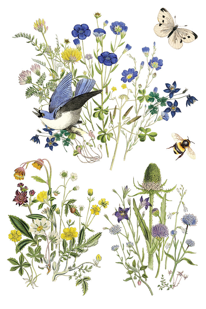 Flora Greca Transfer Iron Orchid Designs 2026 Spring Collection